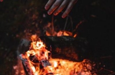 wilderness long-term survival guide