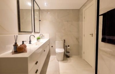 practical argument 5th edition pdf