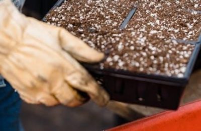 2024 land cruiser owners manual